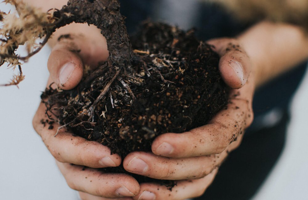 soil